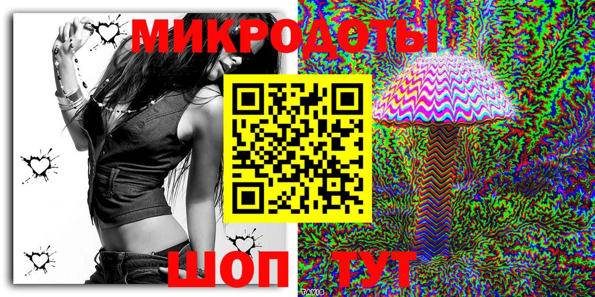 Псилоцибиновые грибы Psilocybe Архангельск