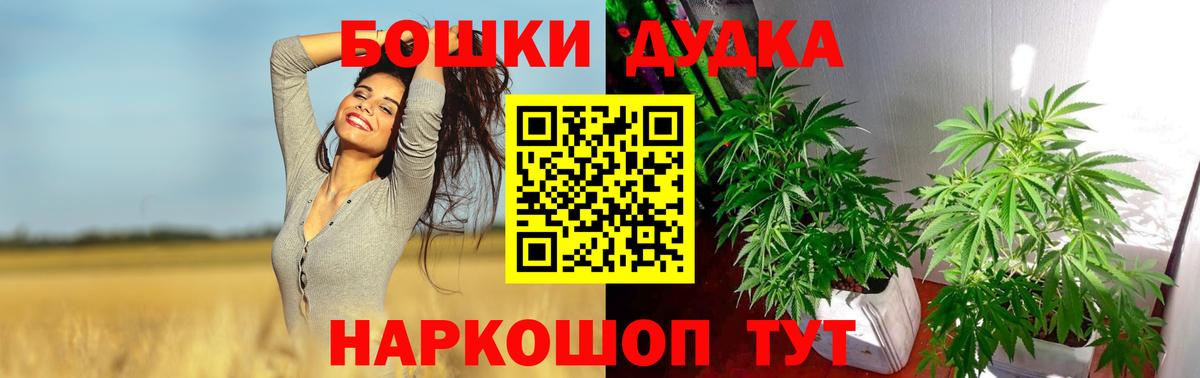 Шишки марихуана марихуана  Конопля SATIVA & INDICA  Вход с VPN  Архангельск  Бошки марихуана конопля 